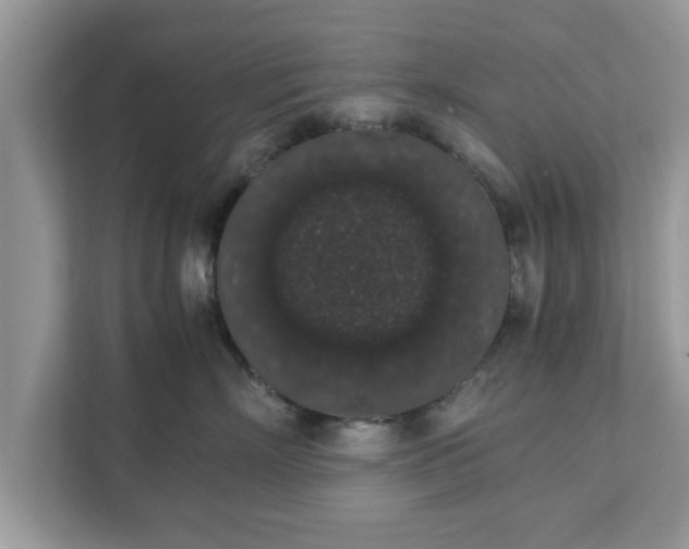 X0000111880718200907301137