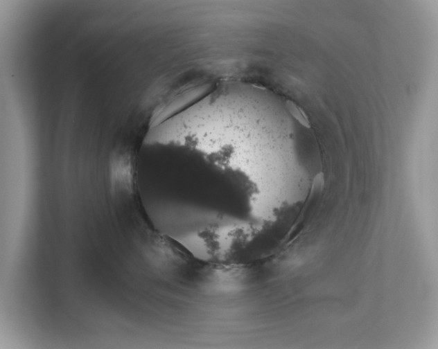 X0000111880720200907301137