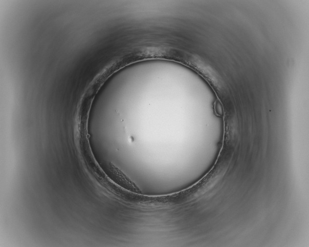 X0000111880722200907301136