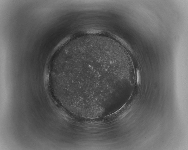 X0000111880723200907301136