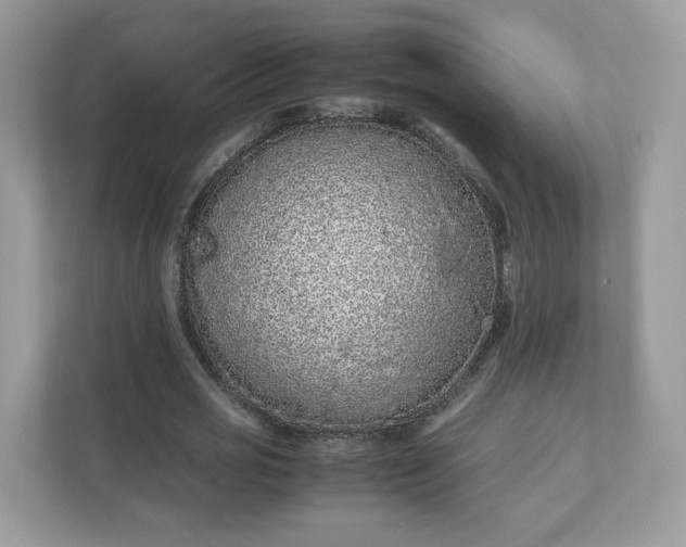 X0000111880725200907301136