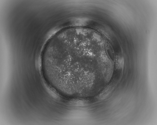 X0000111880726200907301136