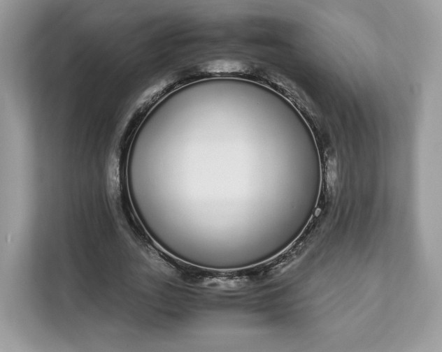 X0000111880727200907301136