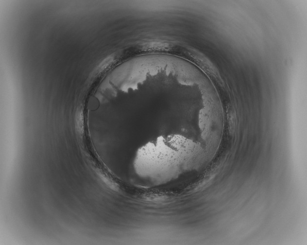 X0000111880729200907301136