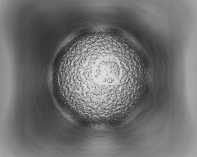 X0000111880730200907301136