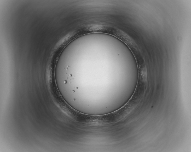 X0000111880732200907301136