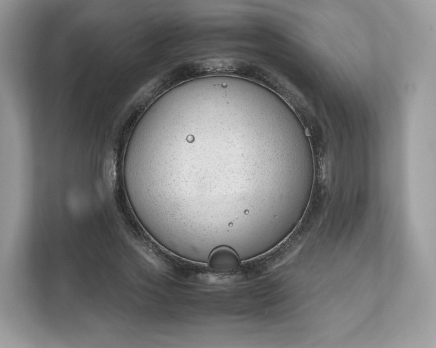 X0000111880733200907301136