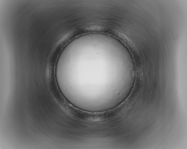 X0000111880735200907301136