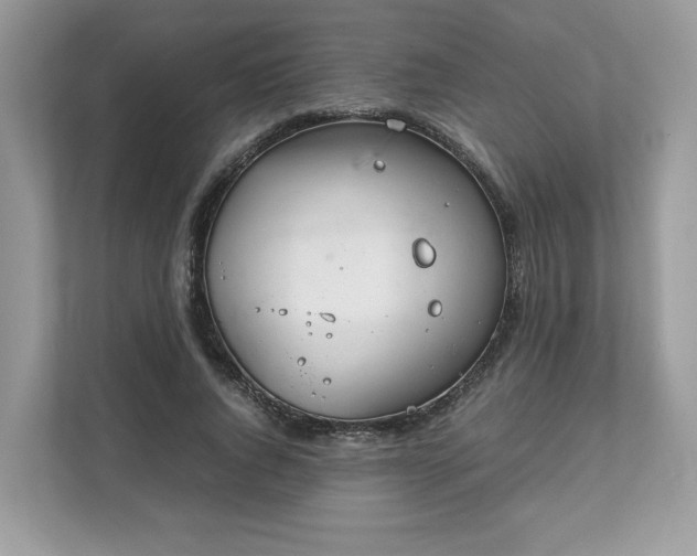 X0000111880736200907301136