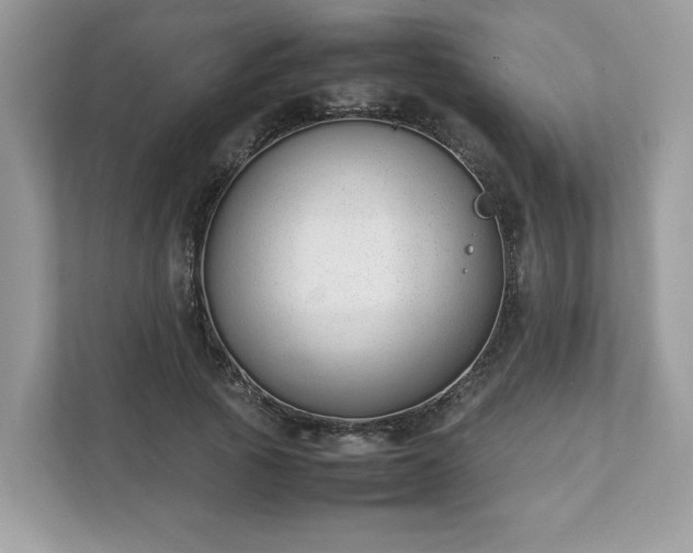 X0000111880737200907301136