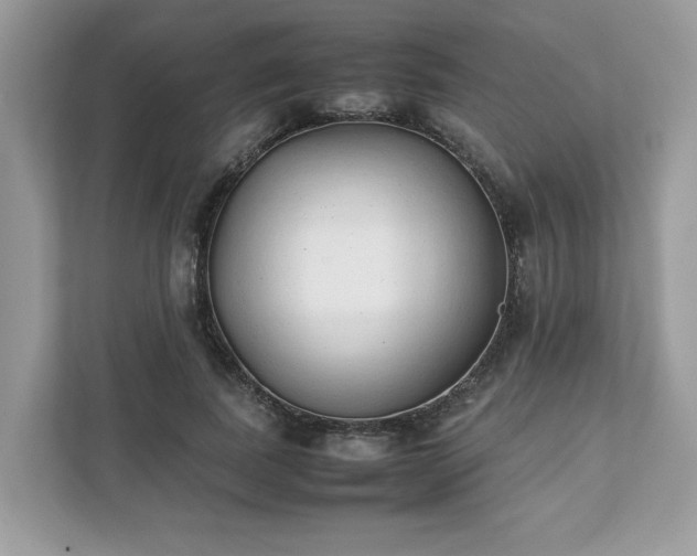 X0000111880739200907301137