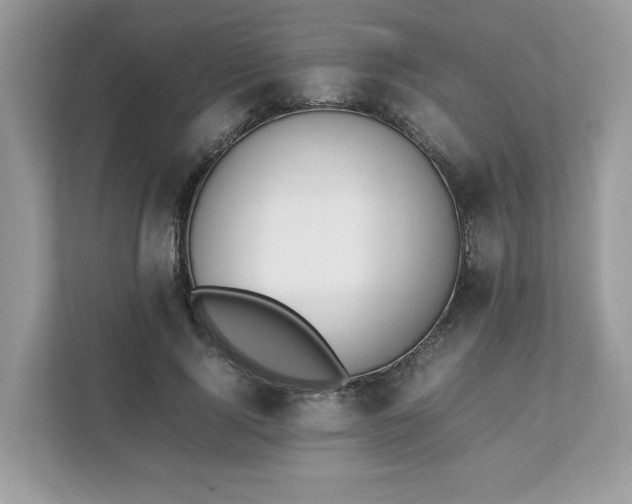 X0000111880740200907301137