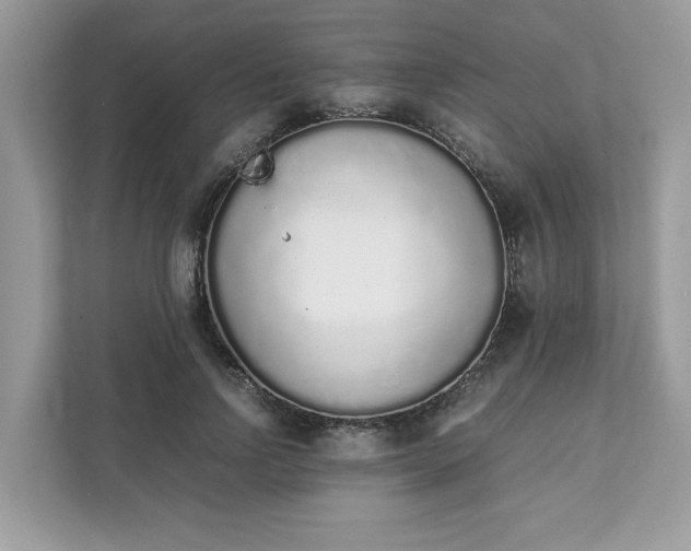X0000111880742200907301137