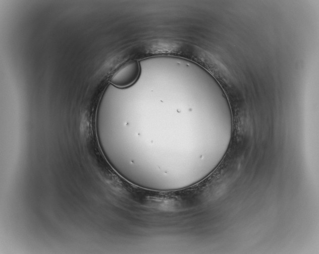 X0000111880743200907301137