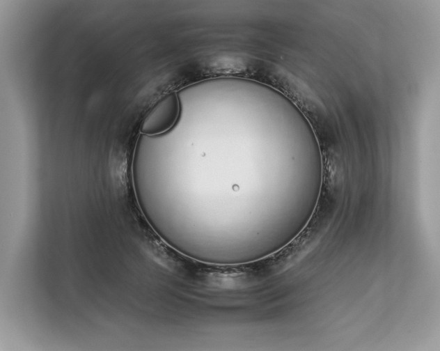 X0000111880745200907301137