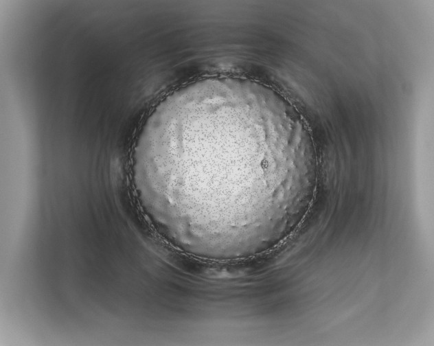 X0000111880747200907301137