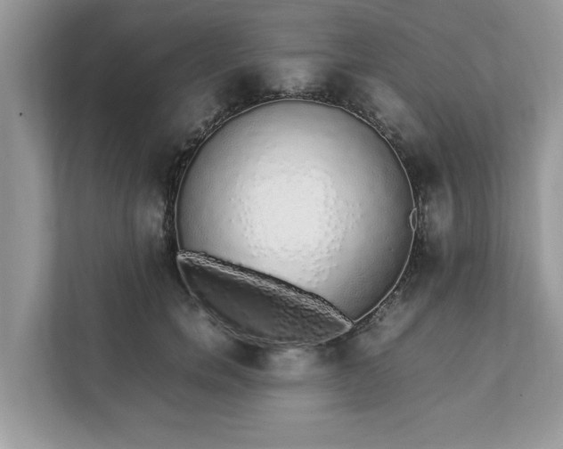 X0000111880750200907301137
