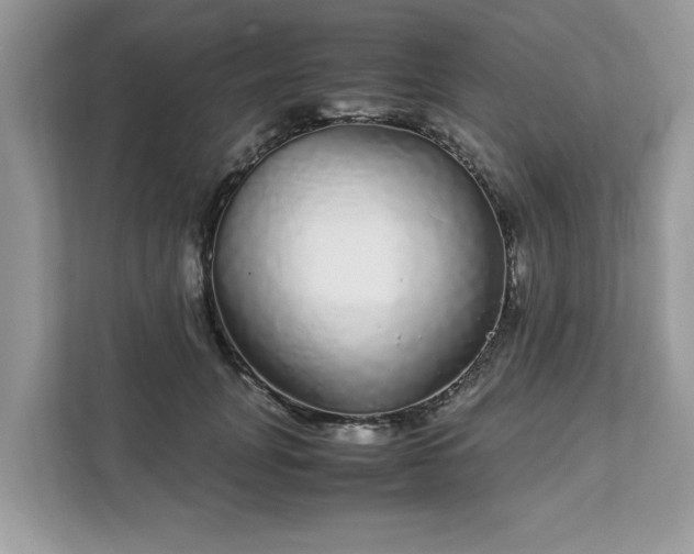 X0000111880751200907301137