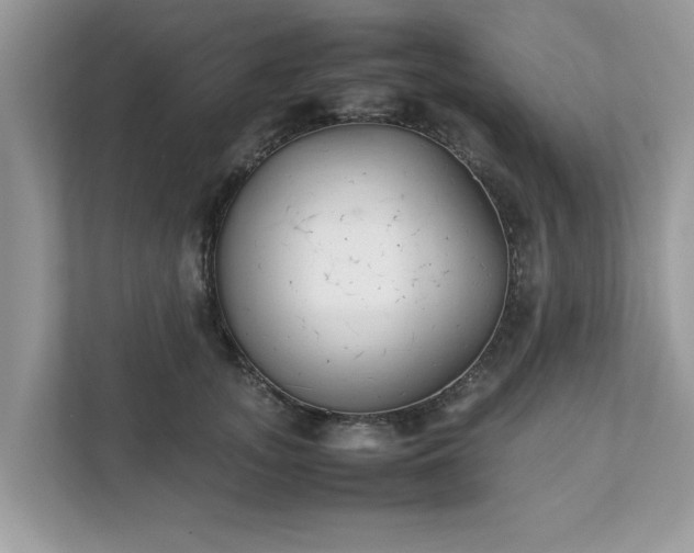 X0000111880755200907301137