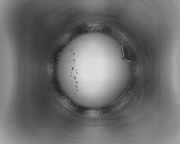 X0000111880756200907301137