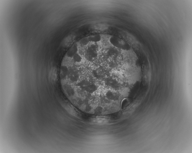 X0000111880758200907301137