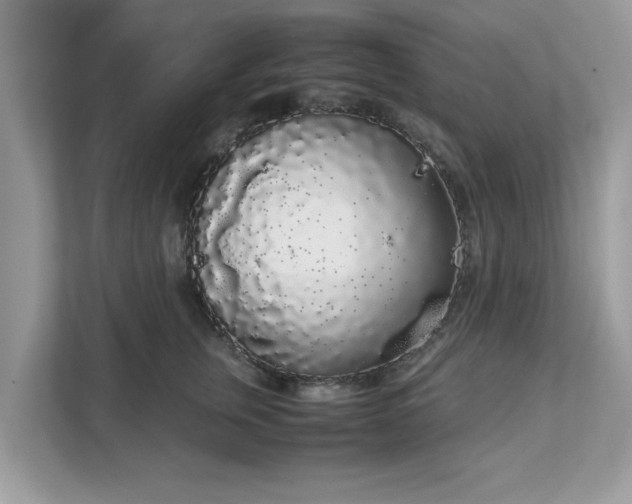 X0000111880759200907301137