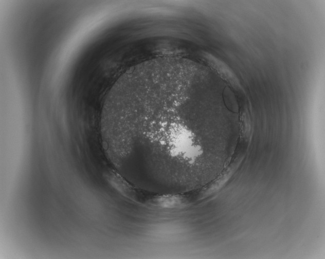 X0000111880762200907301137