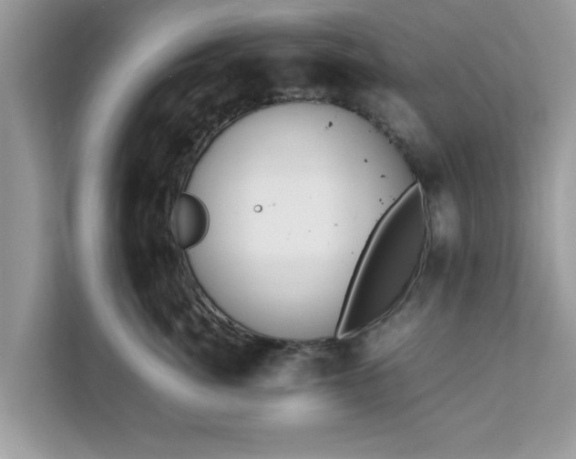 X0000111880764200907301137