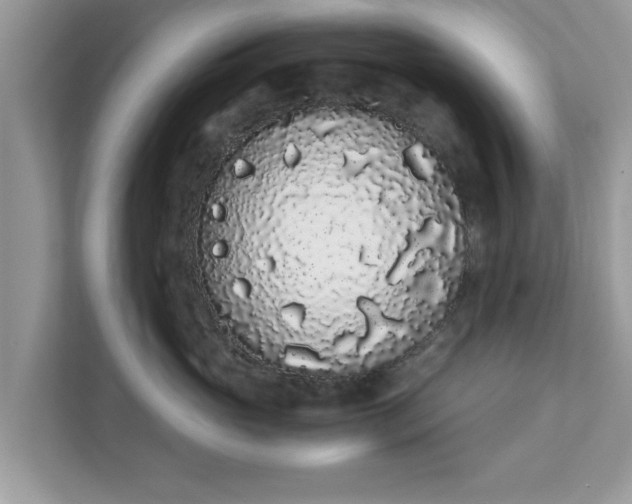 X0000111880765200907301137