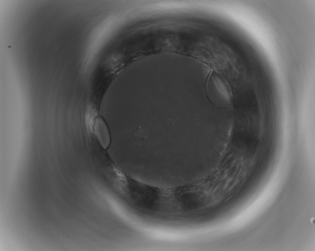 X0000111880766200907301137