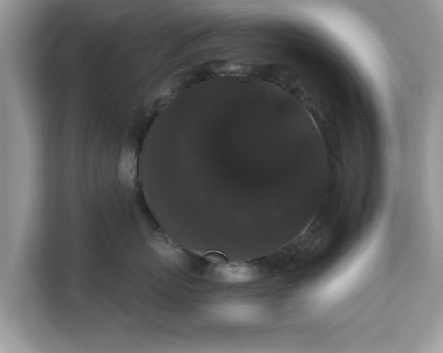 X0000111880767200907301137