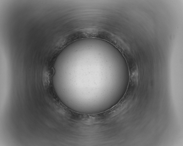 X0000111880772200907301136