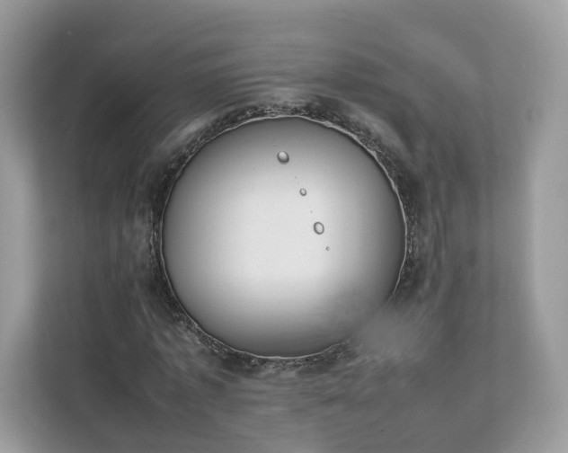 X0000111880773200907301136