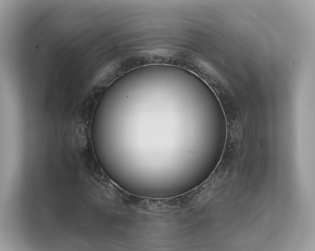 X0000111880774200907301136