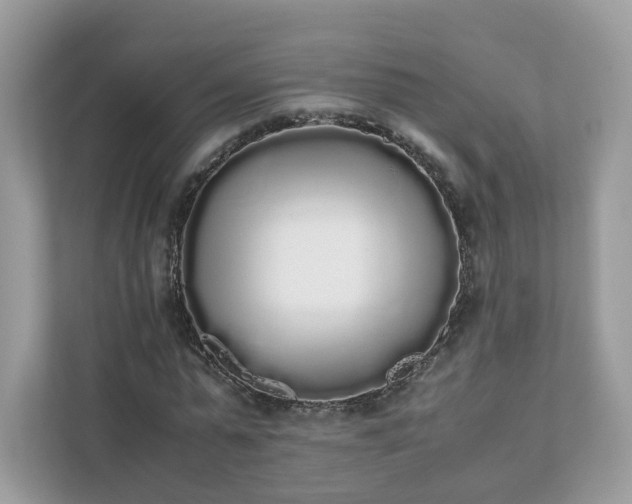 X0000111880775200907301136