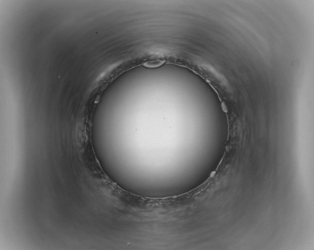 X0000111880776200907301136