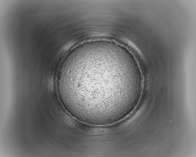X0000111880777200907301136