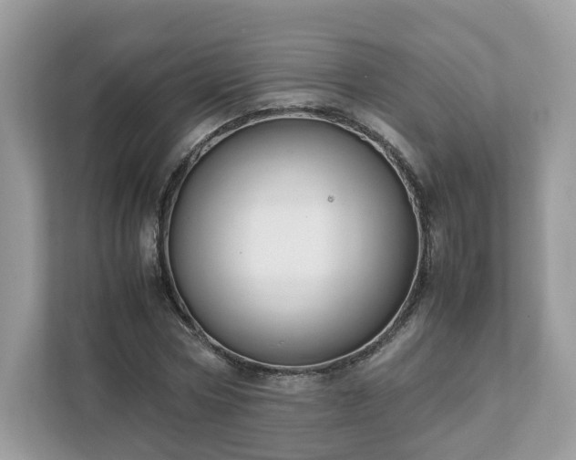 X0000111880778200907301136