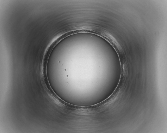 X0000111880780200907301136