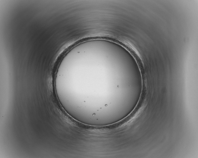 X0000111880781200907301136