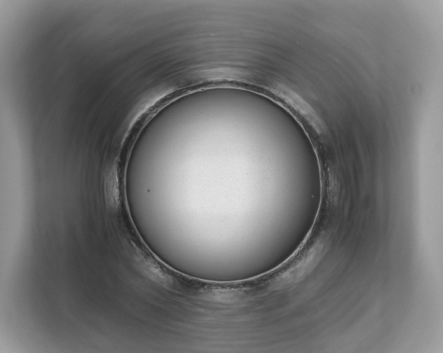 X0000111880782200907301136