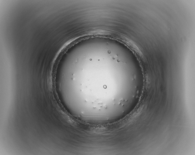 X0000111880784200907301136