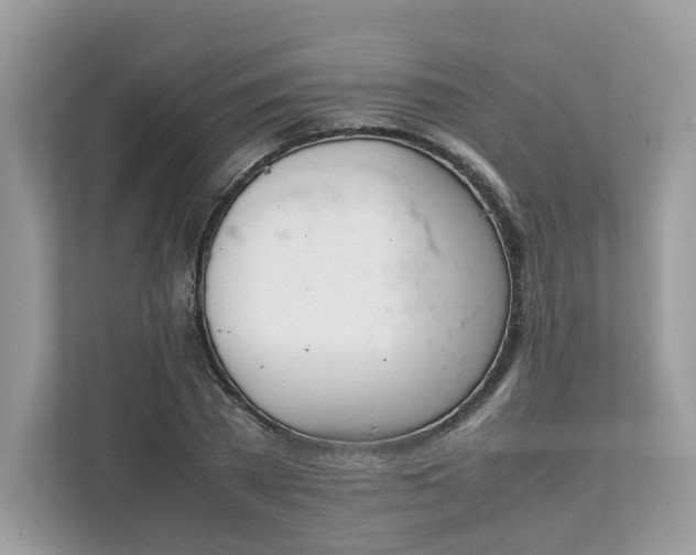 X0000111880785200907301136