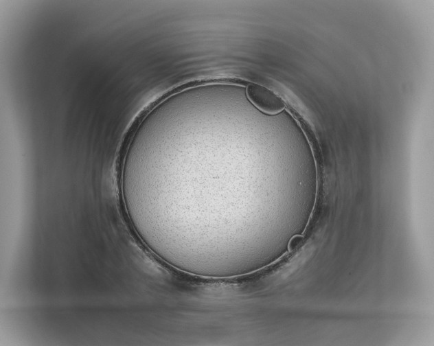 X0000111880789200907301136