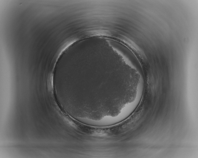 X0000111880790200907301136