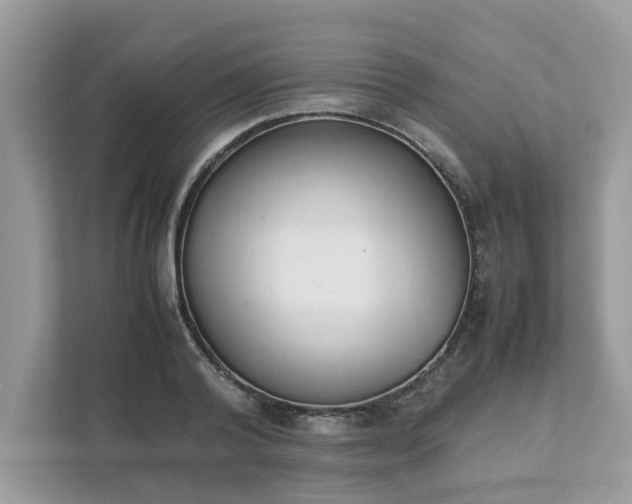 X0000111880792200907301136