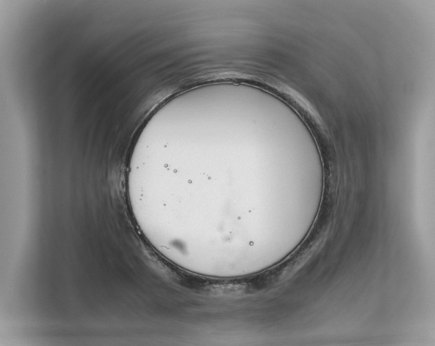 X0000111880793200907301136