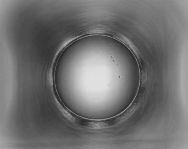 X0000111880795200907301136