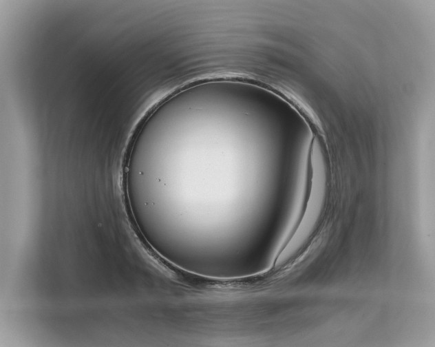 X0000111880797200907301136