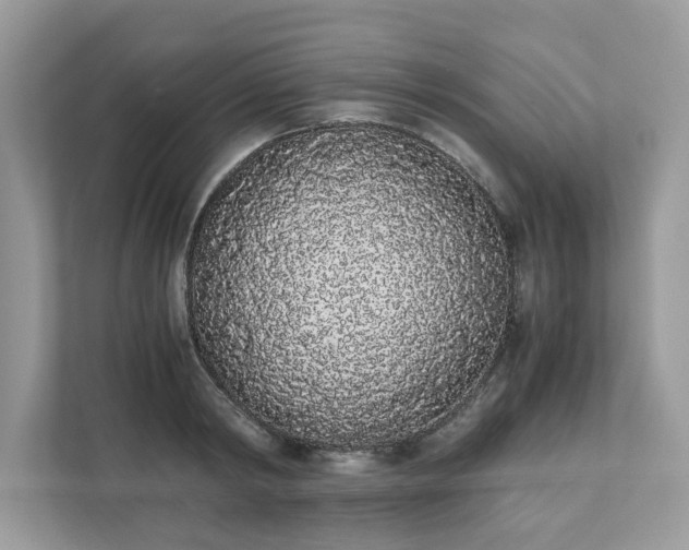 X0000111880798200907301136